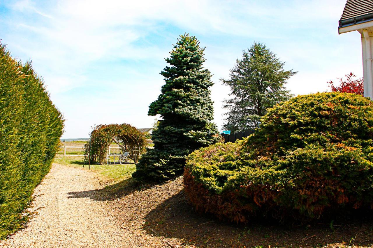 La Veuzaine Onzain Exterior foto